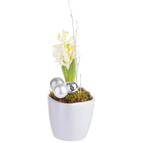 Composition de Noël jacinthe multicolore pot en céramique gris