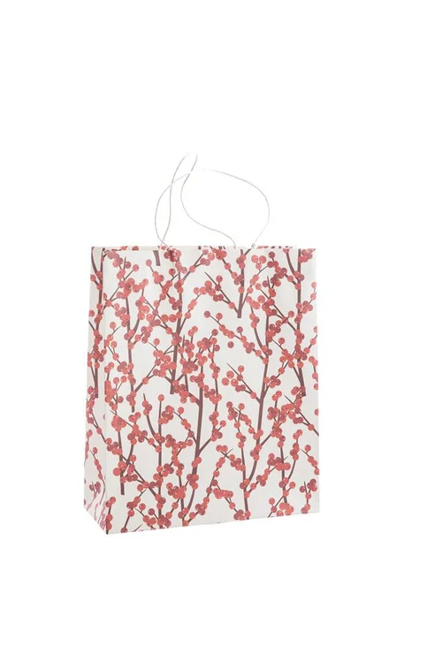Sac cadeau baies coloris multicolore en papier - 35,5 x 35,5 x 15 cm