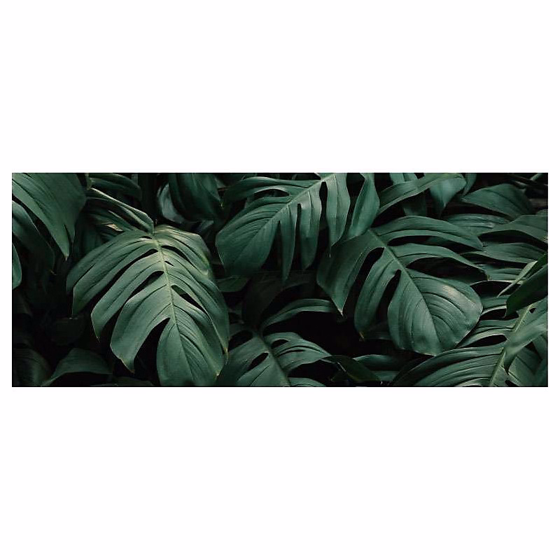 Brise vue feuillage vert CROISSANCE VEGETALE – H.2 x L.5 m, 100% occultant, Made in France par Scenolia + kit de fixation offert