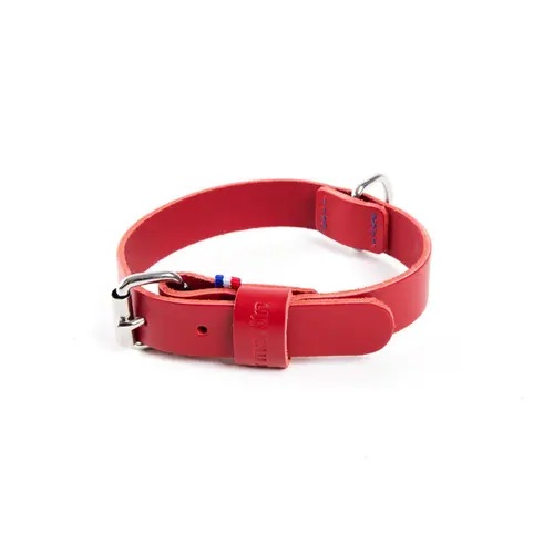 Collier pour chien en cuir coloris rouge cousu Martin Sellier 499 - Taille 14/35