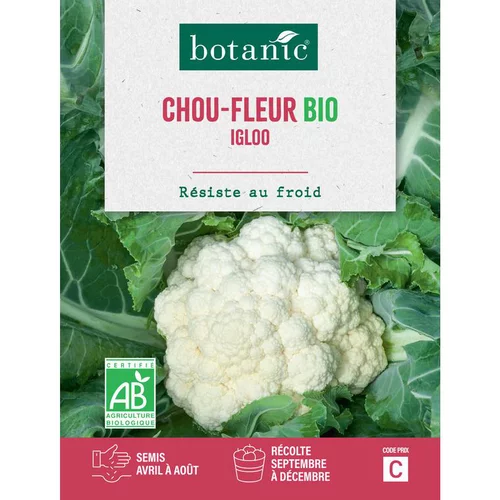 Graines de Chou-fleur igloo bio botanic® - graines à semer