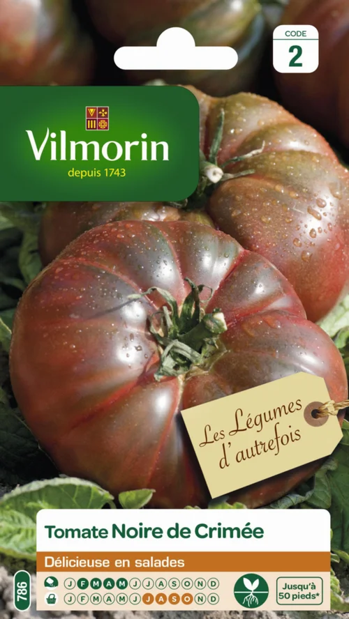 Tomate Noire de Crimée Vilmorin - graines à semer