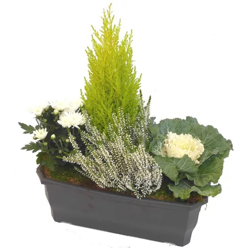 Jardinière d'automne blanche - La jardinière de 40 cm