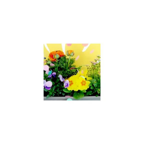 Thème Printemps Petillant - Le pot de 3 litres