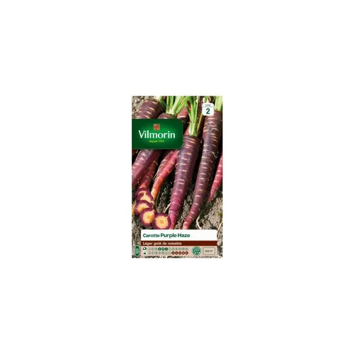 Graines de Carotte violette Purple Haze Vilmorin - graines à semer