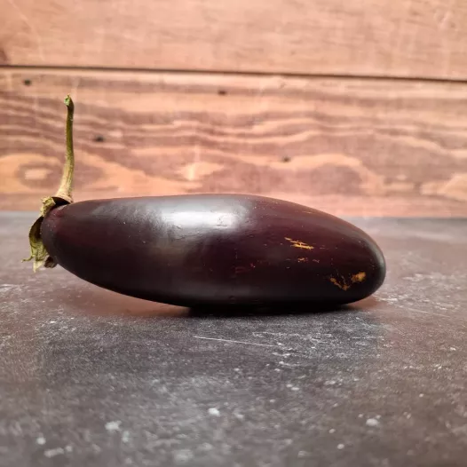 Aubergine Astrakom | Biologische en reproduceerbare zaden