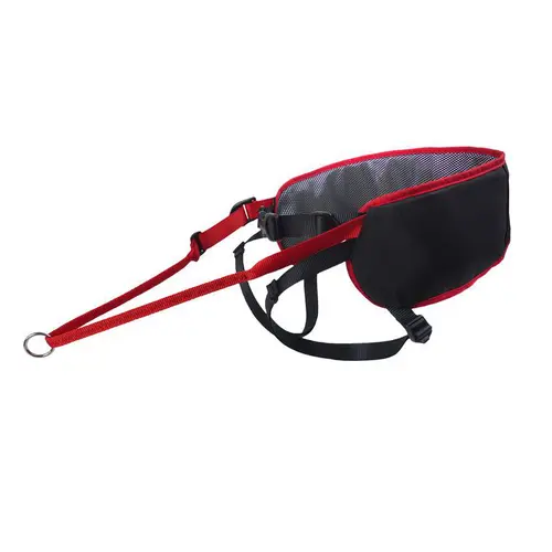 Baudrier Ludus Performance Taille 2 Mesure des hanches 95-120 cm Noir