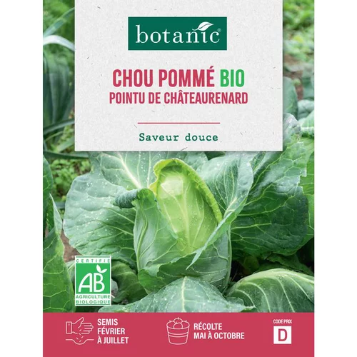 Graines de chou cabus de Châteaurenard bio botanic® - graines à semer