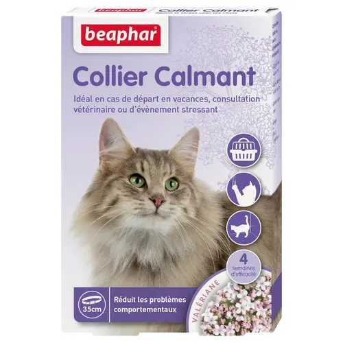 Collier calmant pour chat