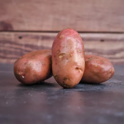 Biologische pootgoed - Aardappel Désirée - 1KG