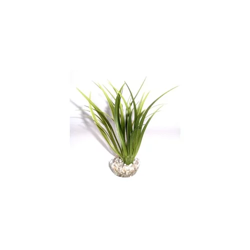 Echinotorus vert en plastique 16 cm