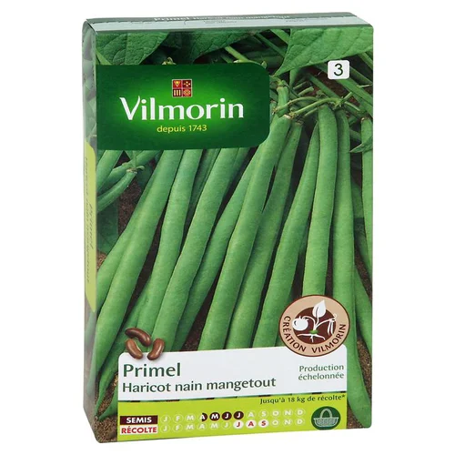 Haricot Nain Mangetout Primel Vilmorin - graines à semer