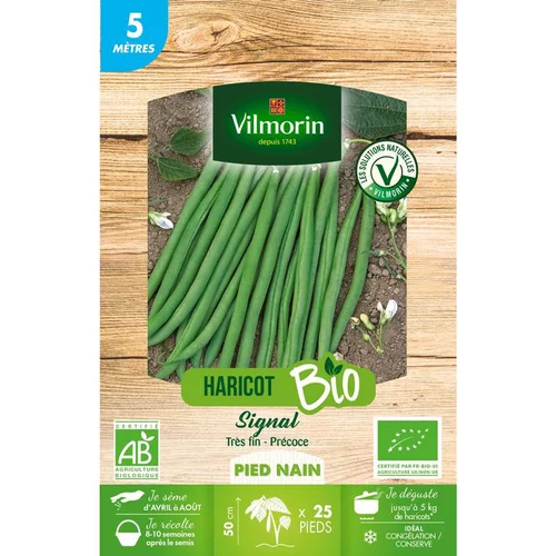 Graines de haricot nain bio Vilmorin - graines à semer