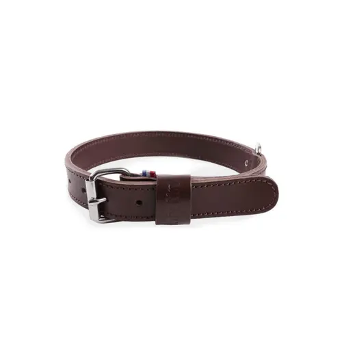 Collier pour chien en cuir coloris marron double épaisseur Martin Sellier - Taille 25/55