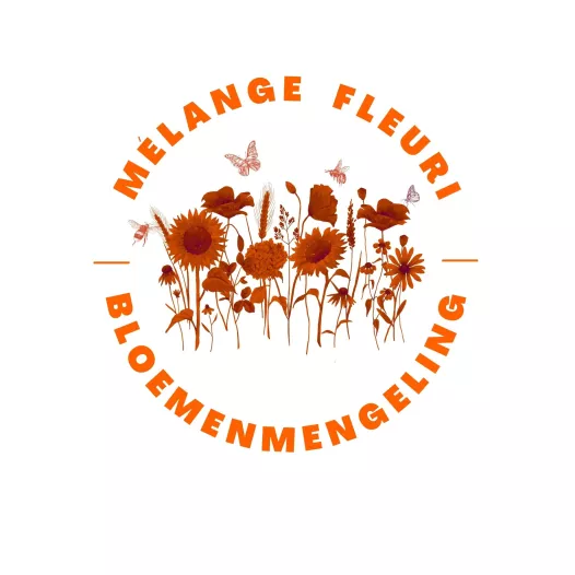 Mix van biologische bloemen - Mijn honingdragende bloementuin