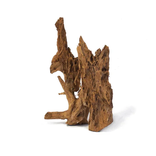 Racine pour aquarium coloris marron Aquavie Mangrove - Taille tgm 80 à 120 cm
