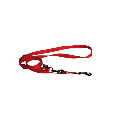Laisse dressage 3pt rouge