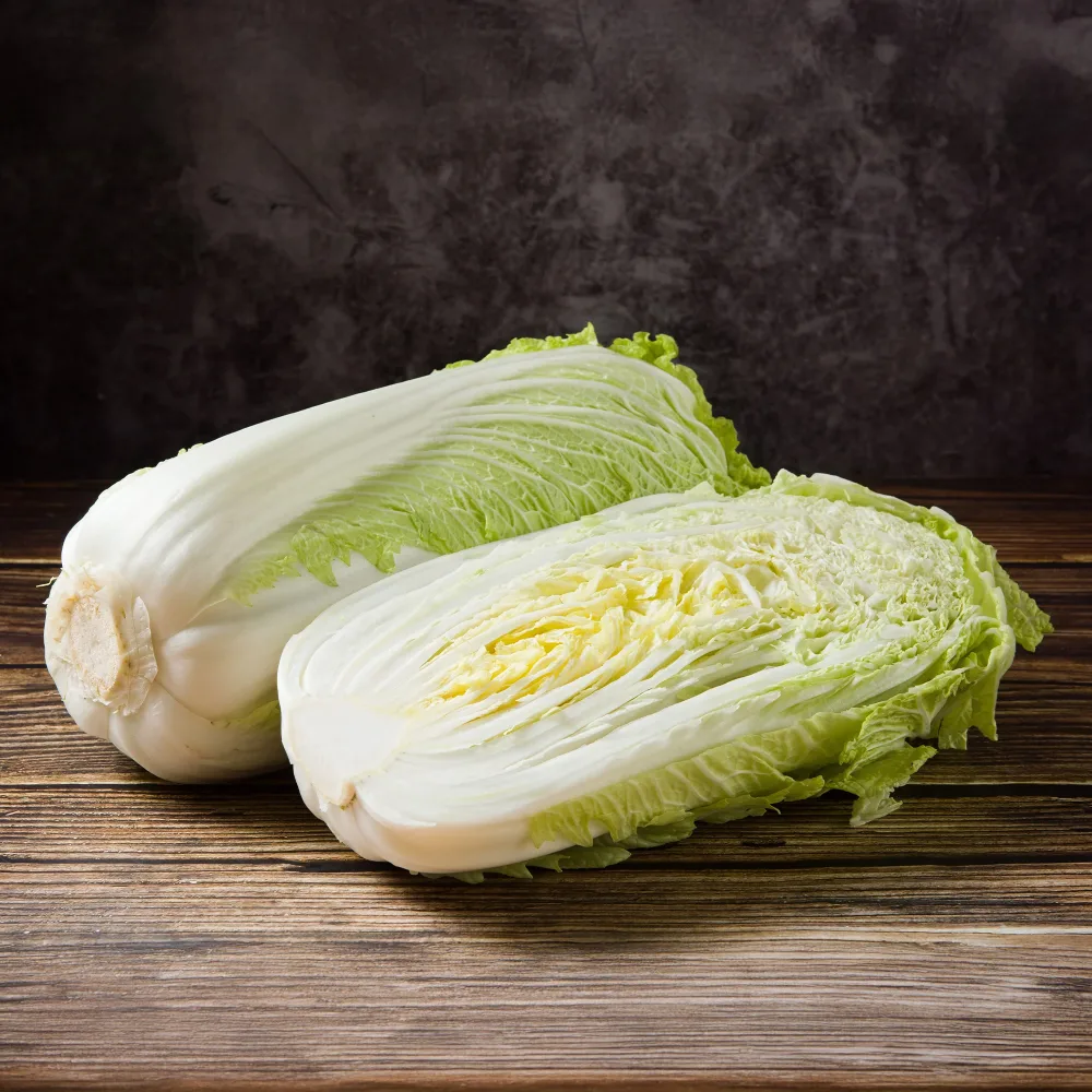 Chou de Chine Pe-Tsai Brassica rapa pekinensis pe-tsai