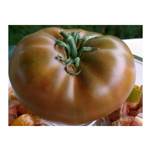 Tomate Cherokee chocolate | Semences bio et reproductibles