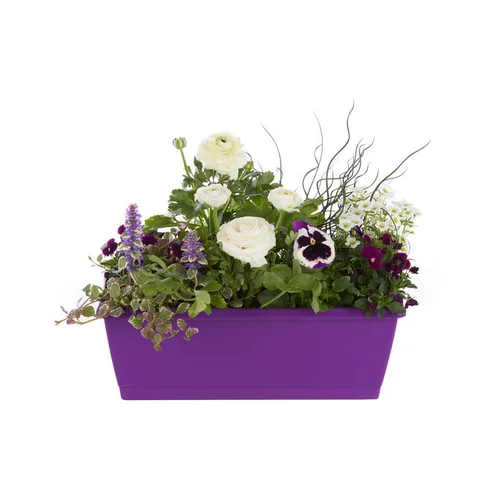 Jardinière de Printemps. La jardinière de 40 cm