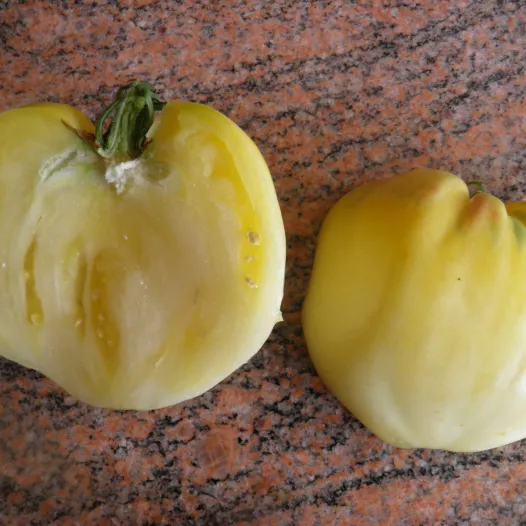 Tomate coeur de boeuf blanche | Semences bio et reproductibles