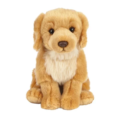 Golden Retriever peluche 20 cm pour tout âge