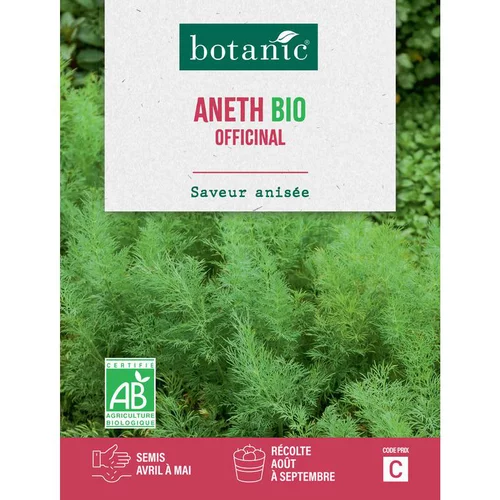 Graines d'aneth officinal bio botanic® - graines à semer