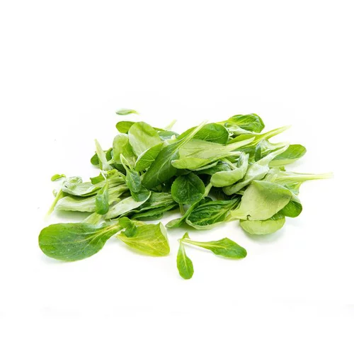 Salade mâche bio de France en Barquette de 100g - Prix à la pièce