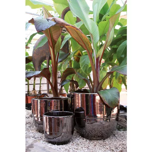 Vase gris gamme Rebord Ø 21 cm