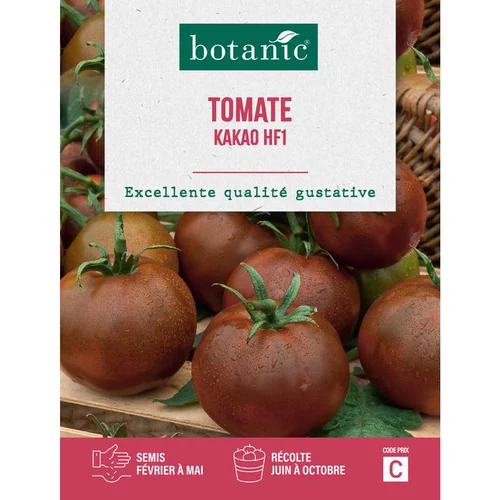 Graines de tomate kakao HF1 botanic® - graines à semer
