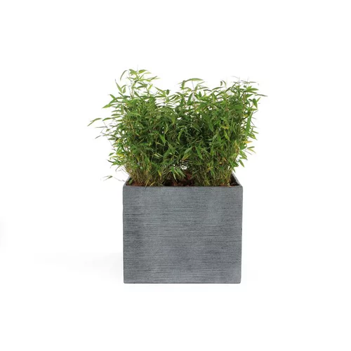 Pot carré bas Stream coloris anthracite 55x55x46 cm