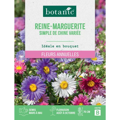 Graines de fleurs de Reinemarguerite simple de Chine variée botanic®