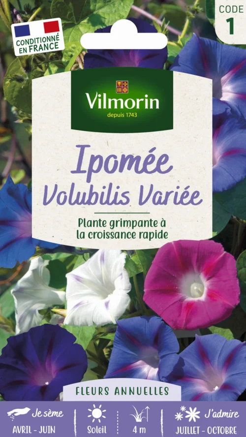 Ipomée Volubilis Variée Vilmorin - graines à semer