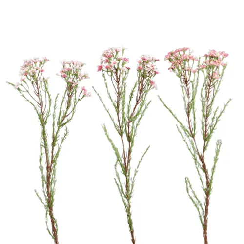 Fleur de cire artificielle rose - 60 cm