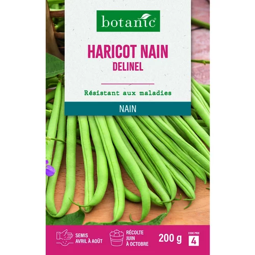 Graines de haricot nain delinel extra-fin sans fil botanic® - graines à semer 200 g