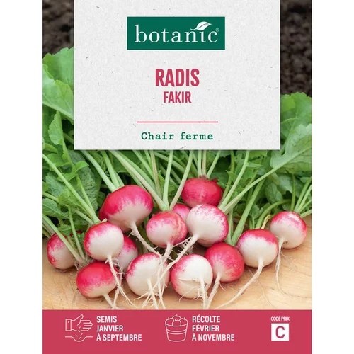 Graine de radis fakir botanic® - graines à semer