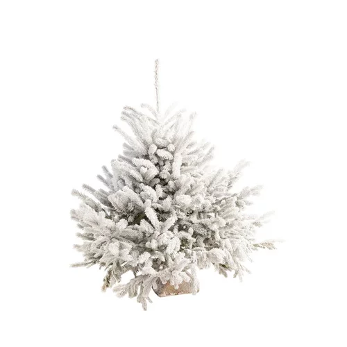 Sapin de Noël naturel blanc effet enneigé Glacé Robin® - 40 à 60 cm