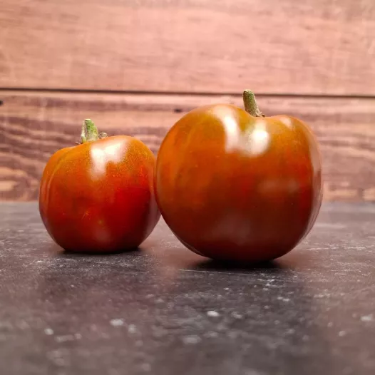 Tomate Noire Russe Charbonneuse | Semences bio et reproductibles