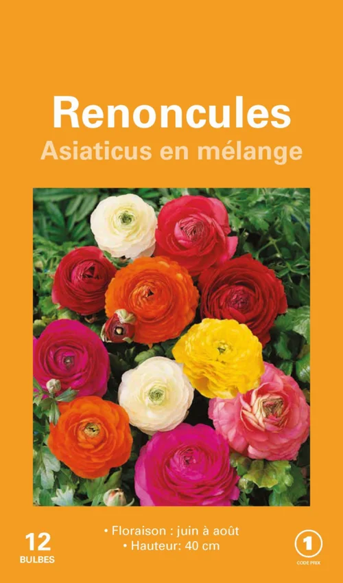 Renoncule en mélange botanic® - 12 bulbes
