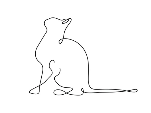 Affiche illustration noir et blanc Aquarupella Chat - 30 x 40 cm