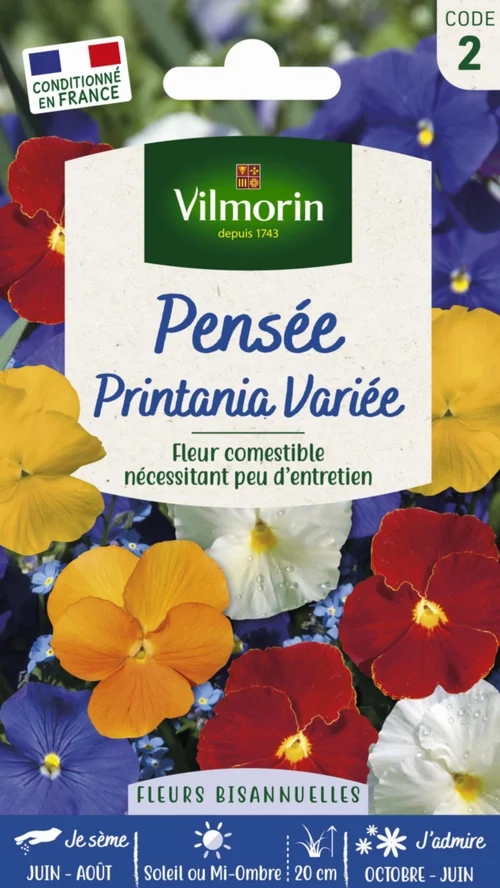 Graines de Pensée Printania variée Vilmorin - graines à semer