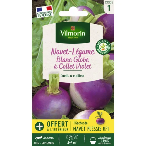 Sachet de graines de navet-légume blanc globe à collet violet