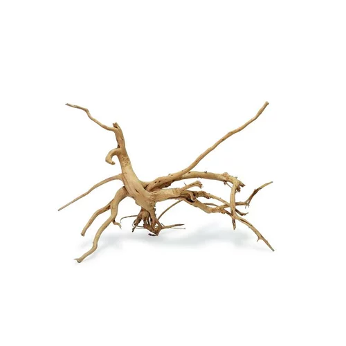 Racine de vigne tortueuse SL taille M/L 30-50 cm