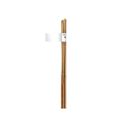 Tuteur bambou naturel coloris beige Ø 8/10 mm x 0,90 m