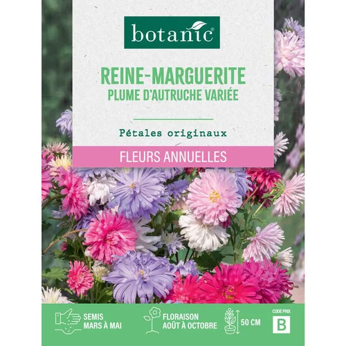 Graines de fleurs de Reinemarguerite plume d'autruche ou Aster de Chine variée botanic®