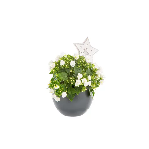Campanule Like Me Boule Ceramique Gris