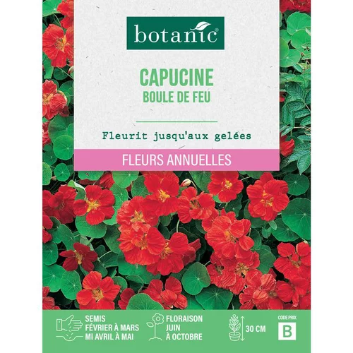 Graines de fleurs Capucine boule de feu botanic®