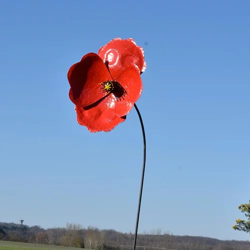 Tuteur métal coquelicot