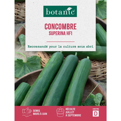 Graines de concombre superina HF1 botanic® - graines à semer