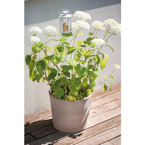Vase Cilindrico Gris grafite en terre cuite D25 x H21